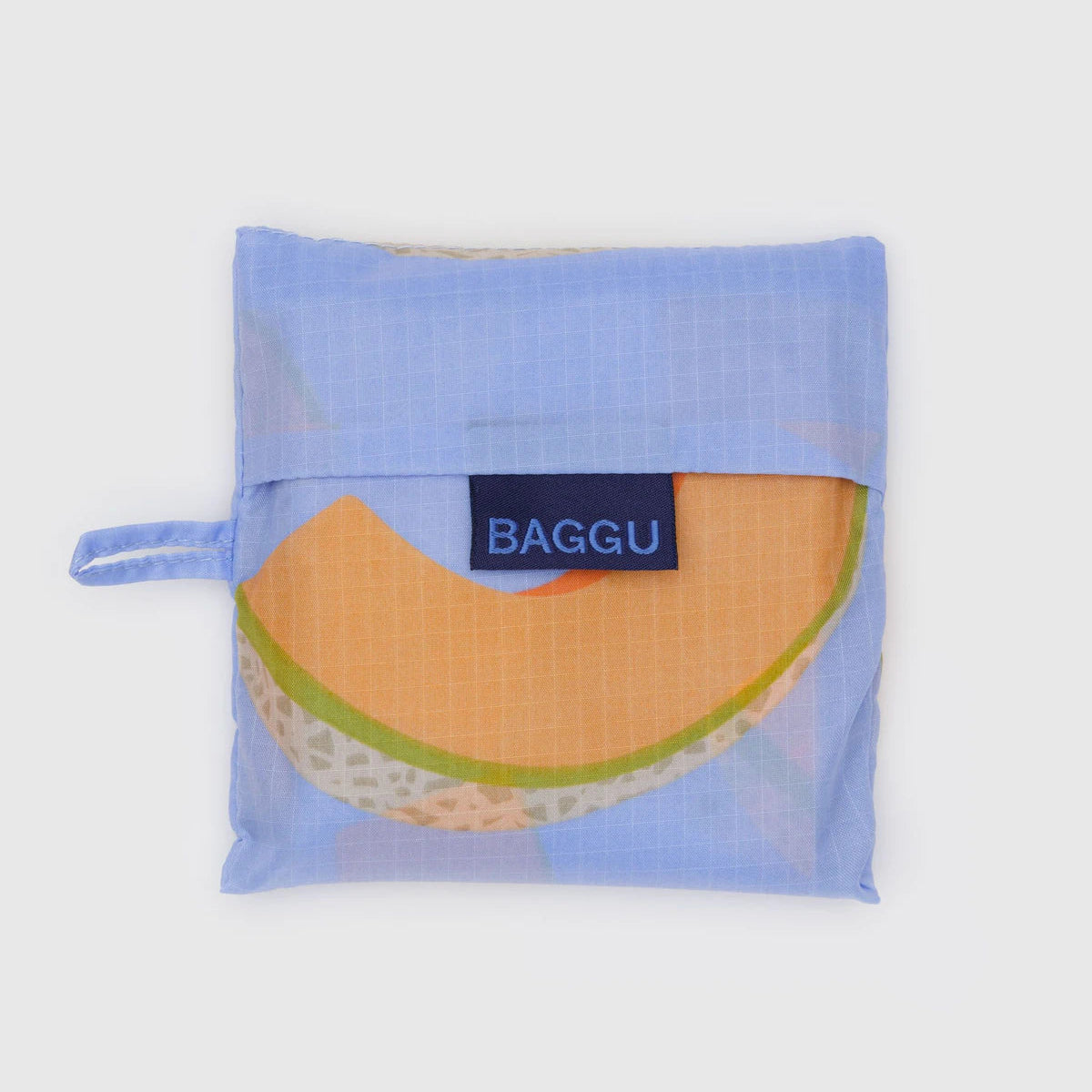 Standard Baggu in Cantaloupe Blue