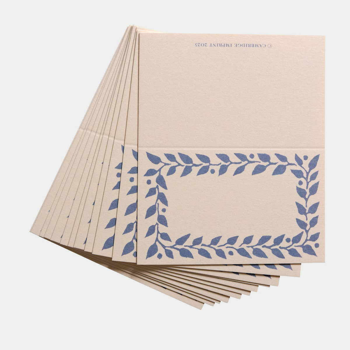 Place Cards in Cornflower: Pack of Twelve