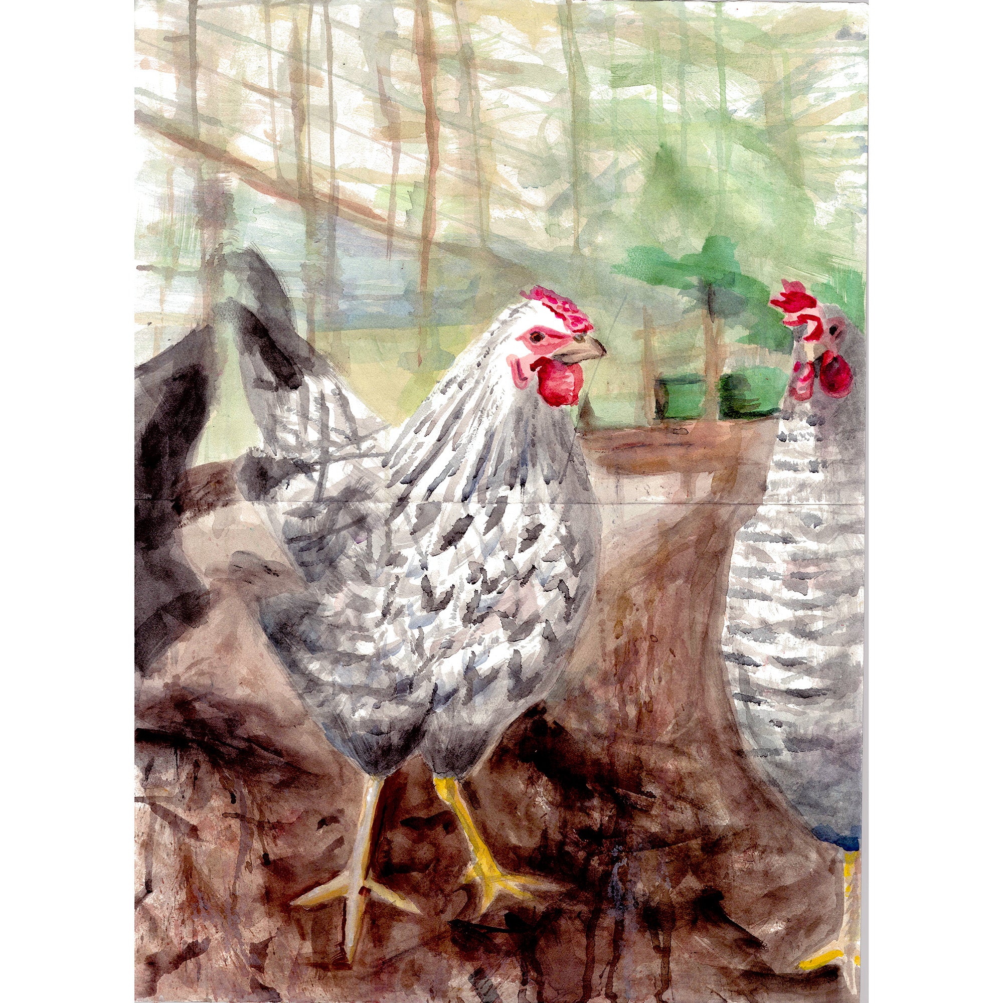 Chicken by Andrea Dibben