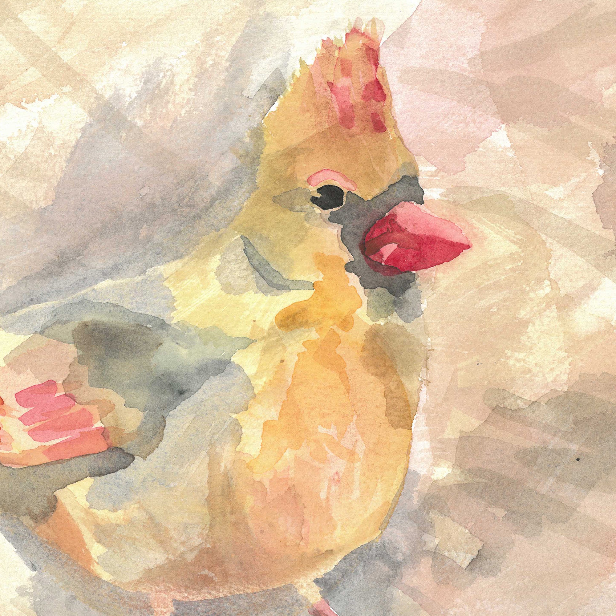 Cardinal by Andrea Dibben