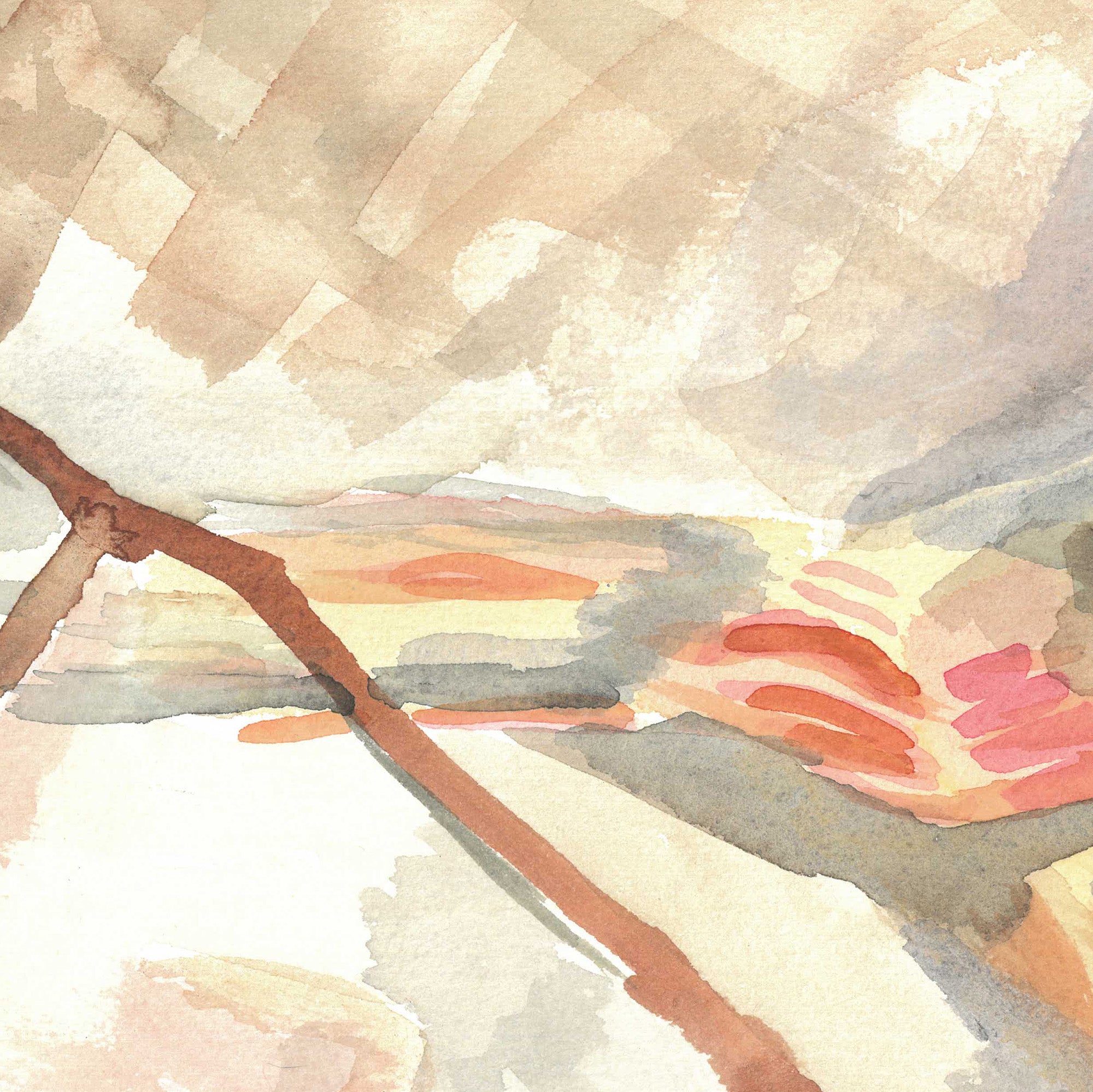 Cardinal by Andrea Dibben