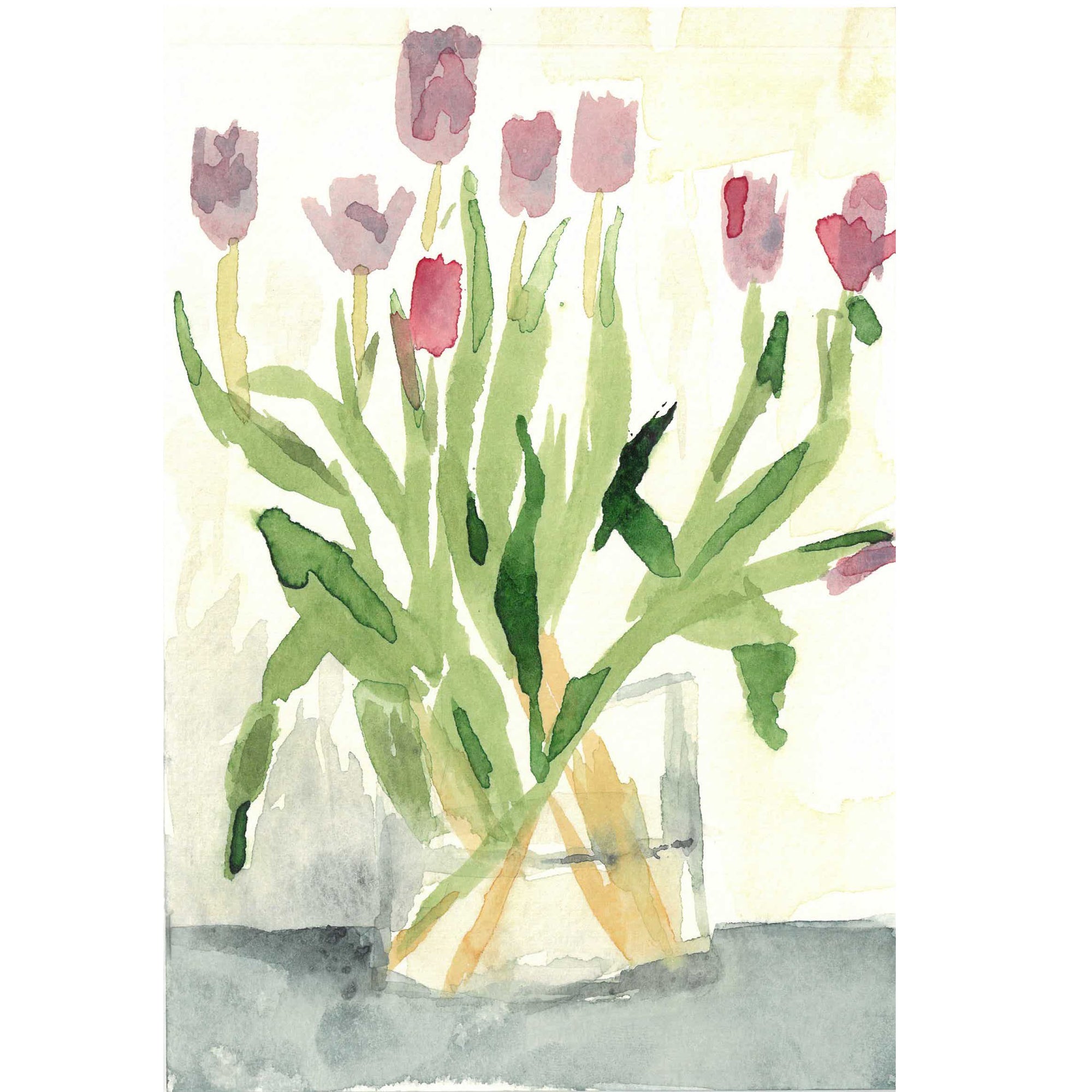 Tulips by Andrea Dibben