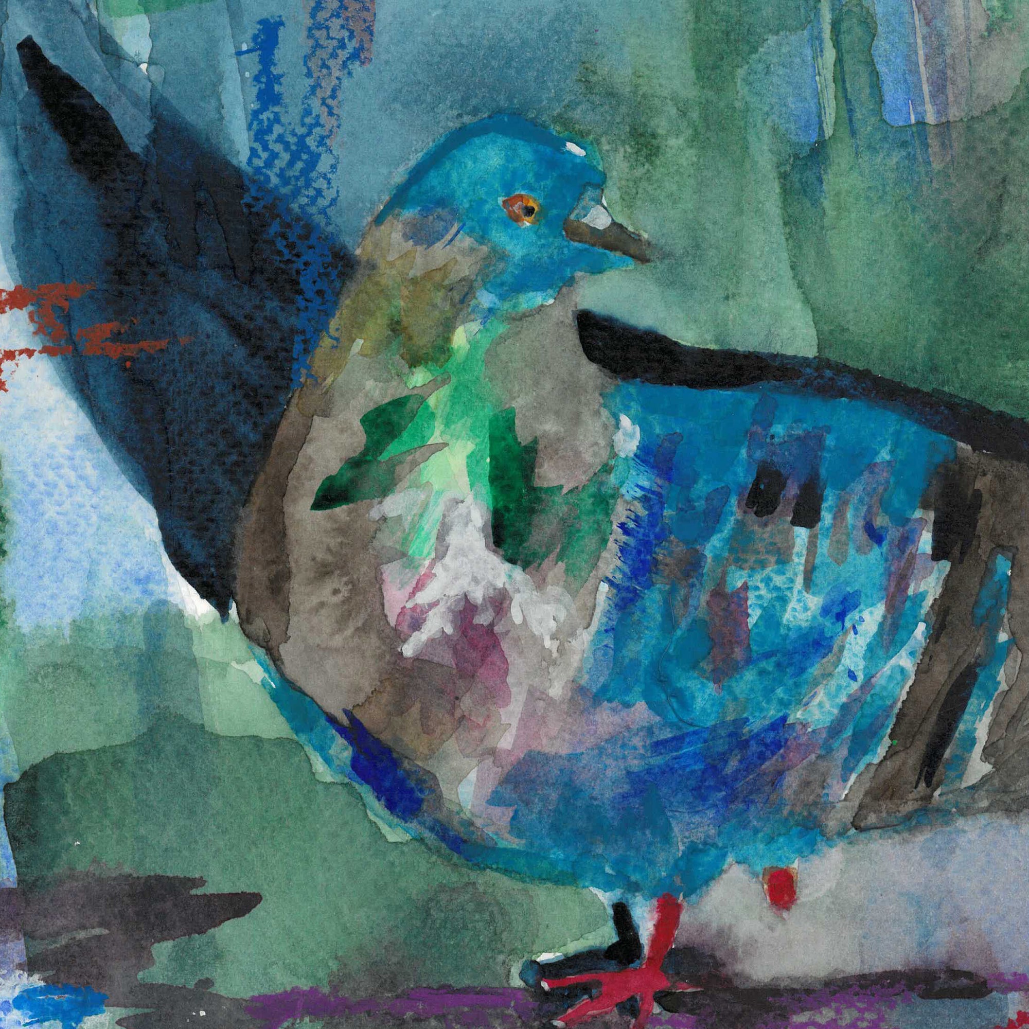 Pigeon by Andrea Dibben