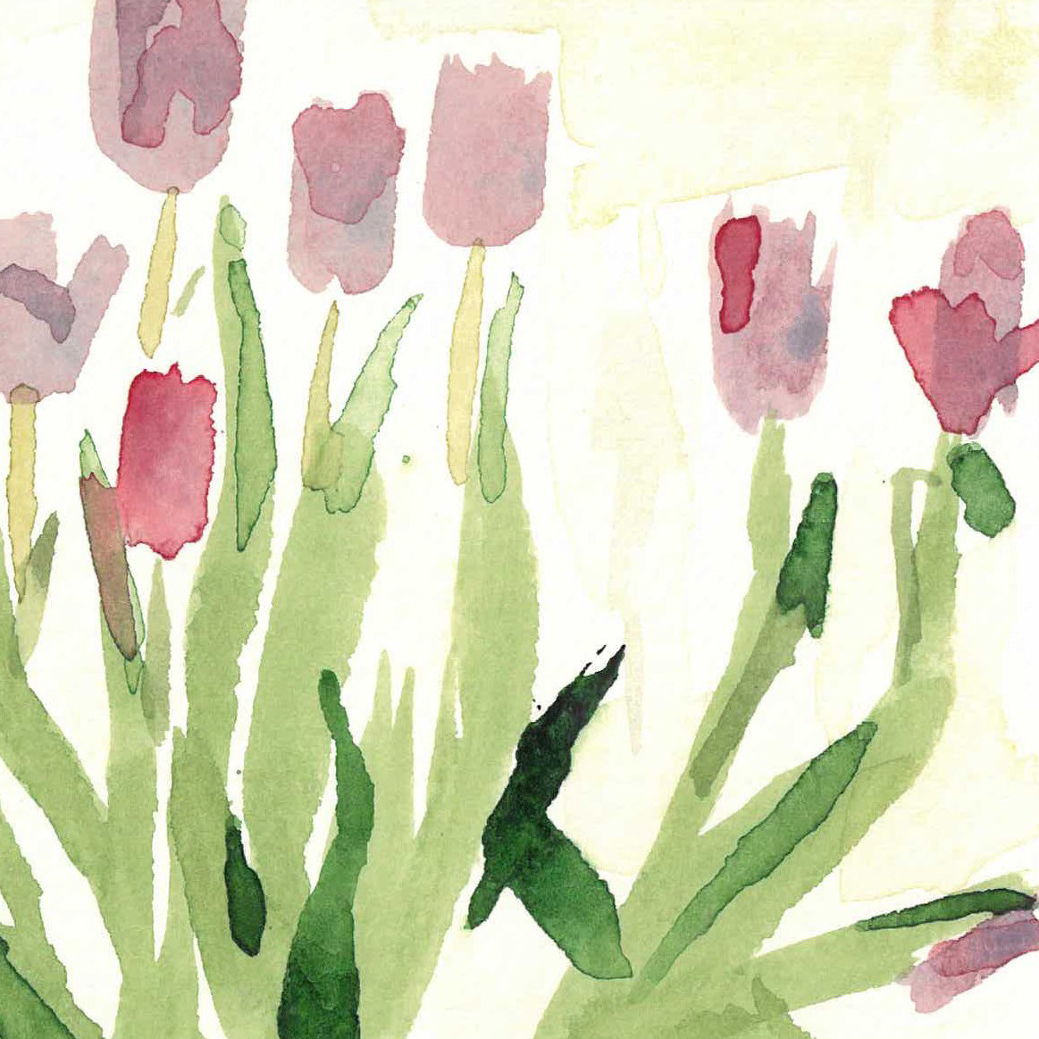 Tulips by Andrea Dibben