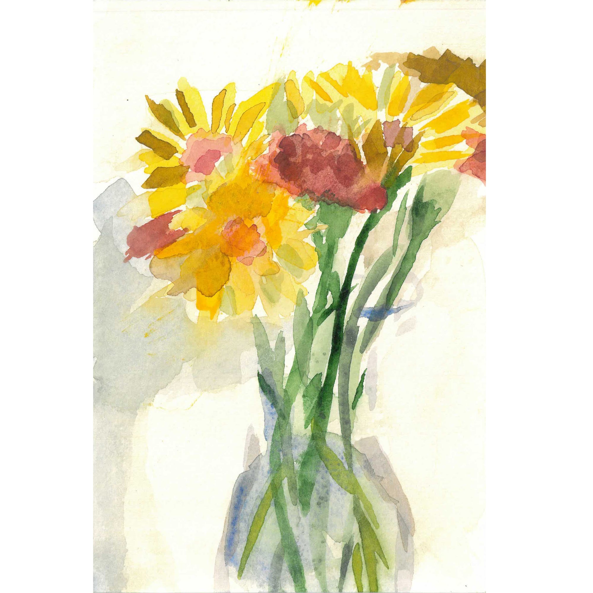 Daisies by Andrea Dibben