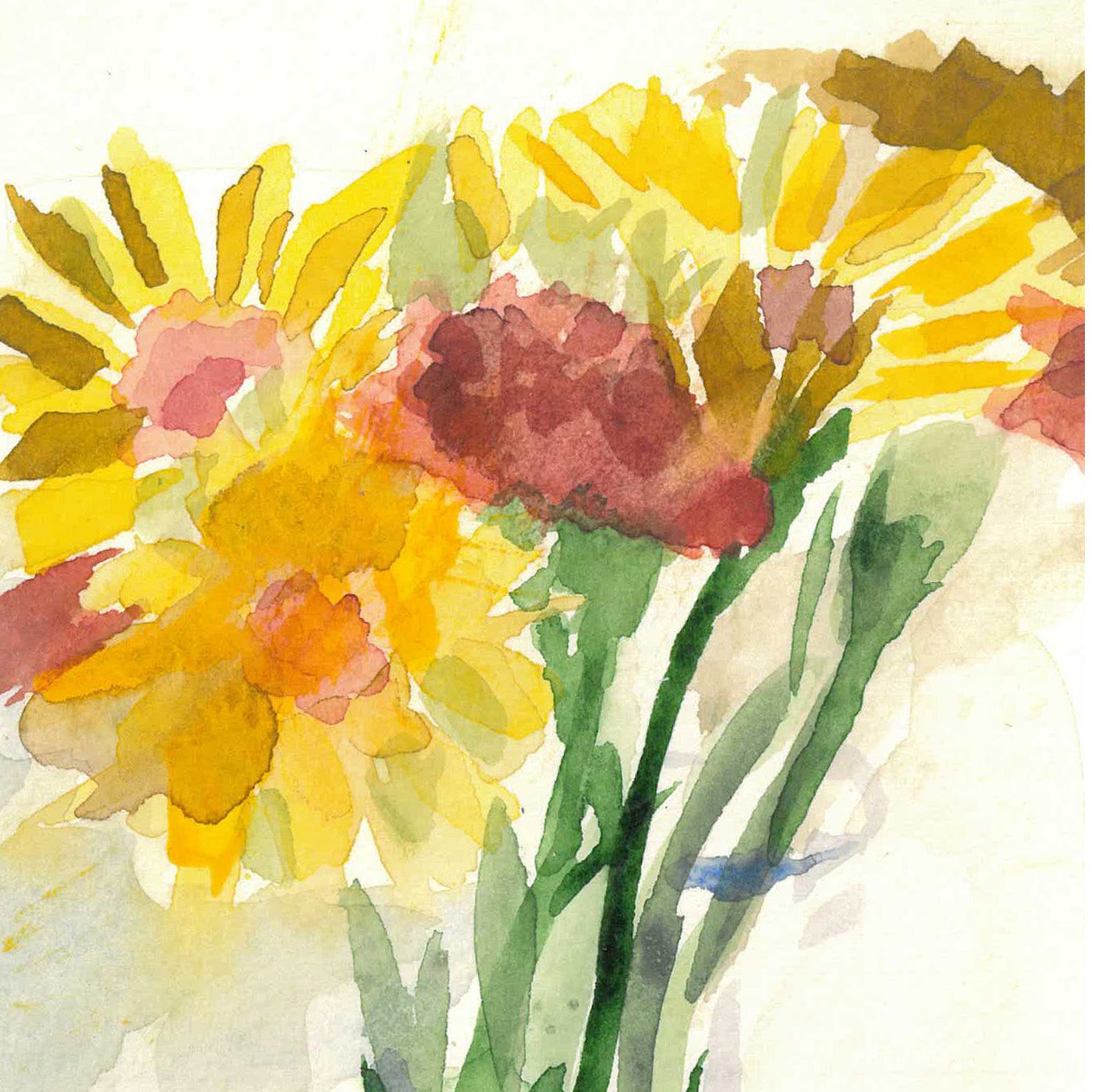 Daisies by Andrea Dibben