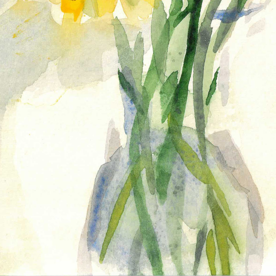 Daisies by Andrea Dibben