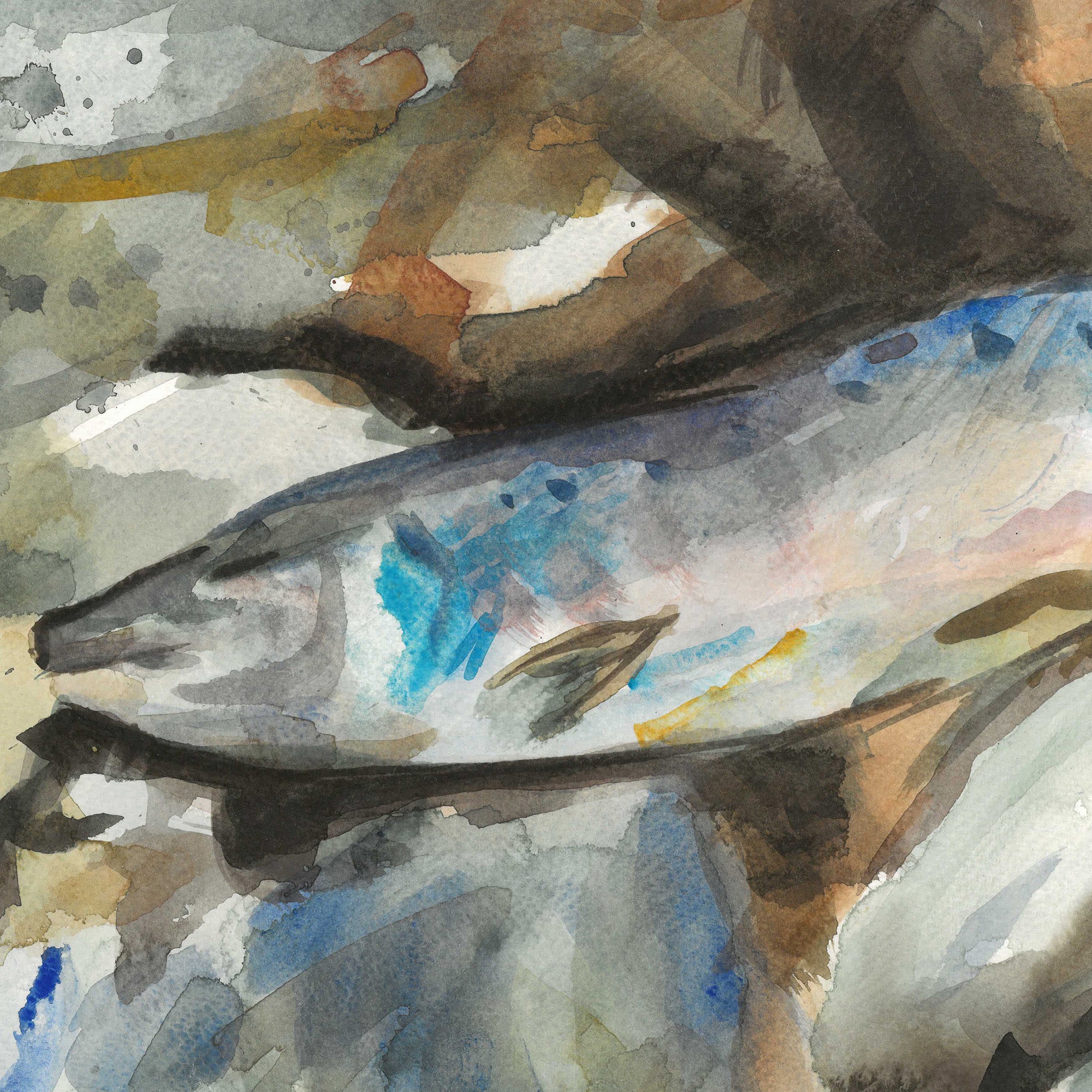 Fish by Andrea Dibben