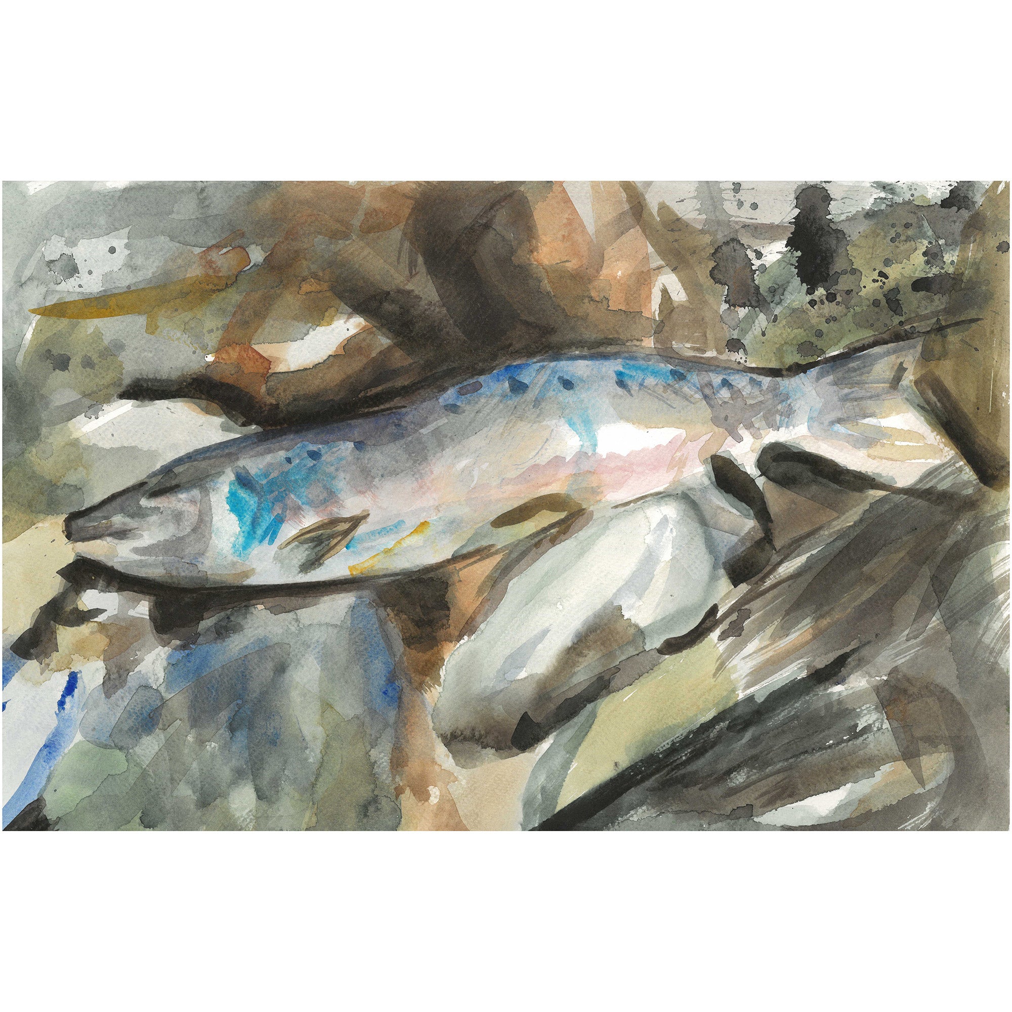 Fish by Andrea Dibben