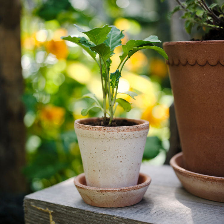 Helena Pot in Rosa Terracotta