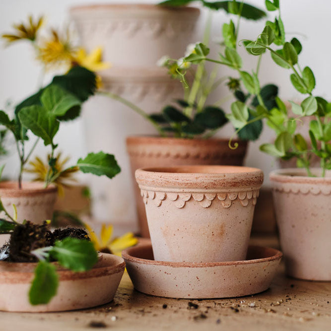 Kobenhavner Pot in Rosa Terracotta