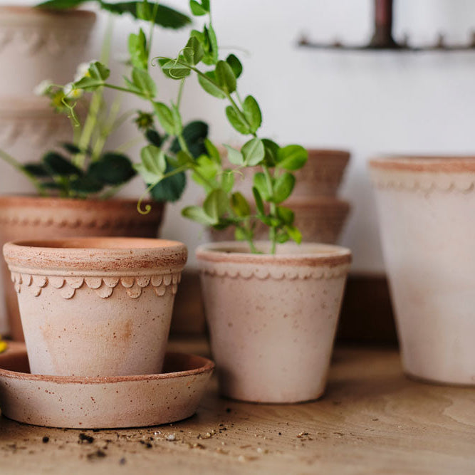 Helena Pot in Rosa Terracotta