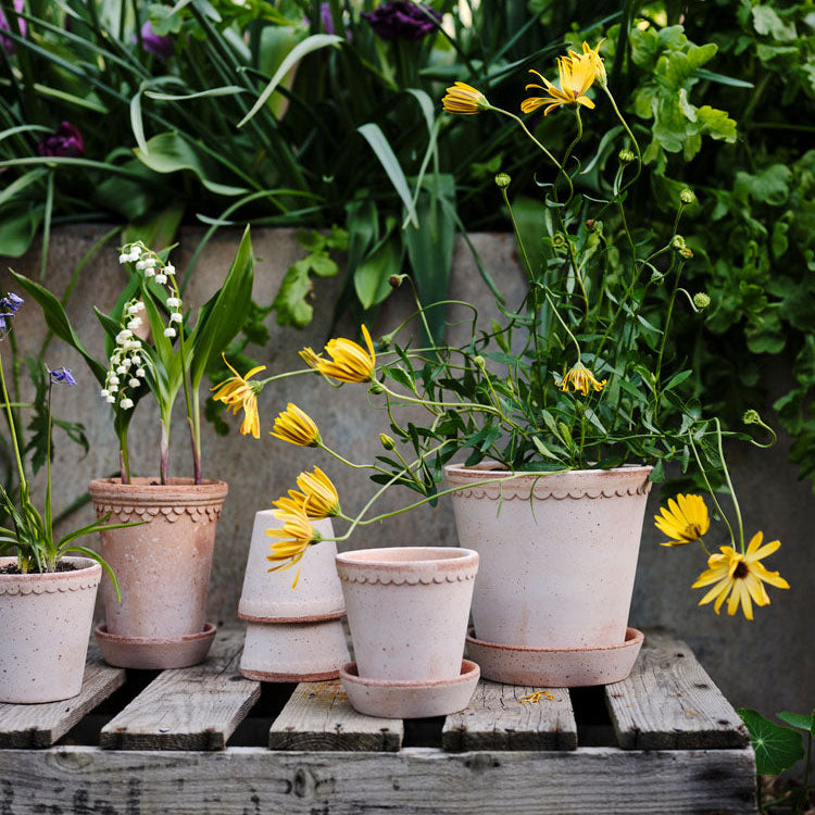 Helena Pot in Rosa Terracotta