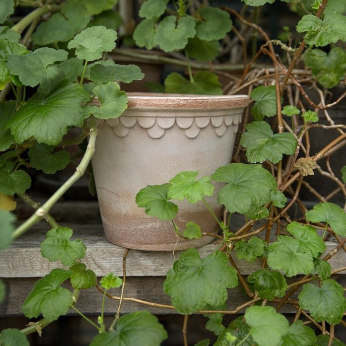 Kobenhavner Pot in Rosa Terracotta