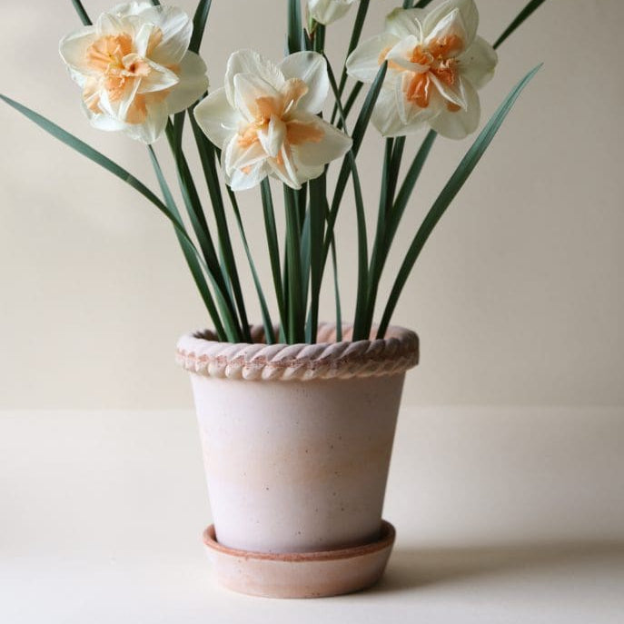 Emilia Pot in Rosa Terracotta