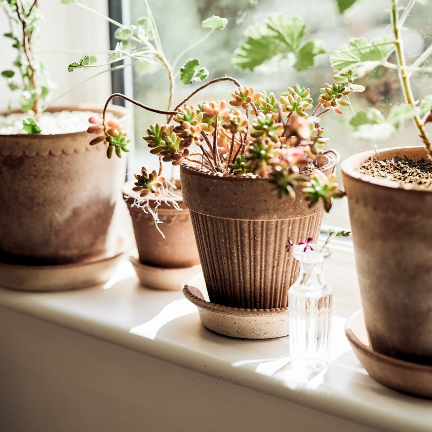 Kobenhavner Pot in Rosa Terracotta