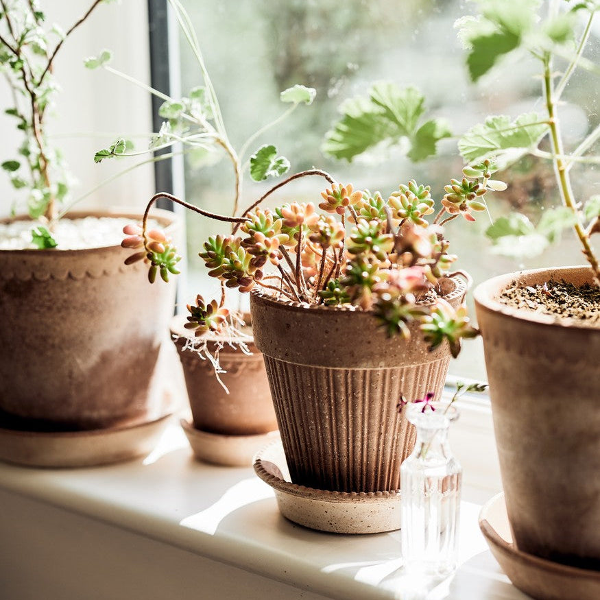 Simona Pot in Rosa Terracotta
