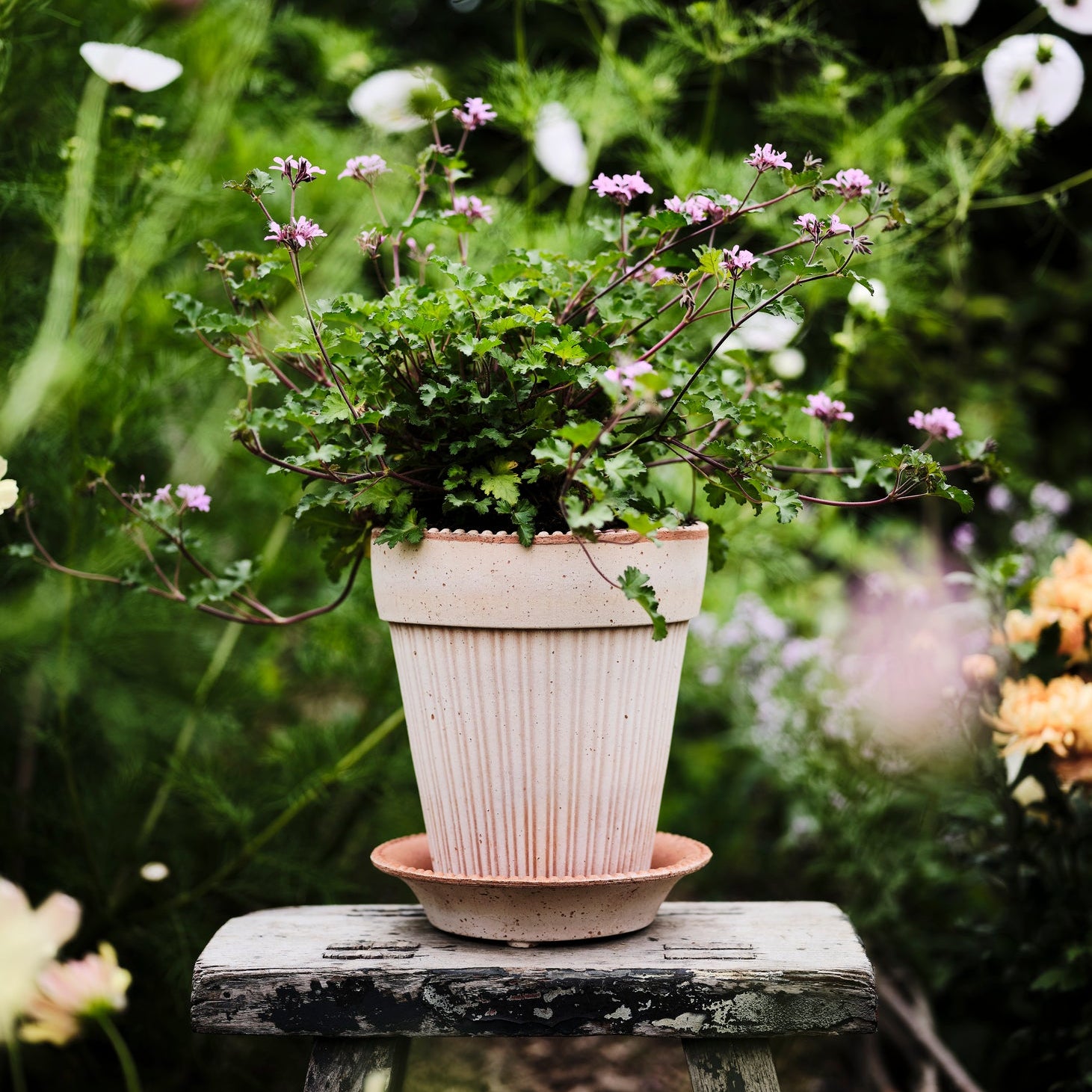 Simona Pot in Rosa Terracotta