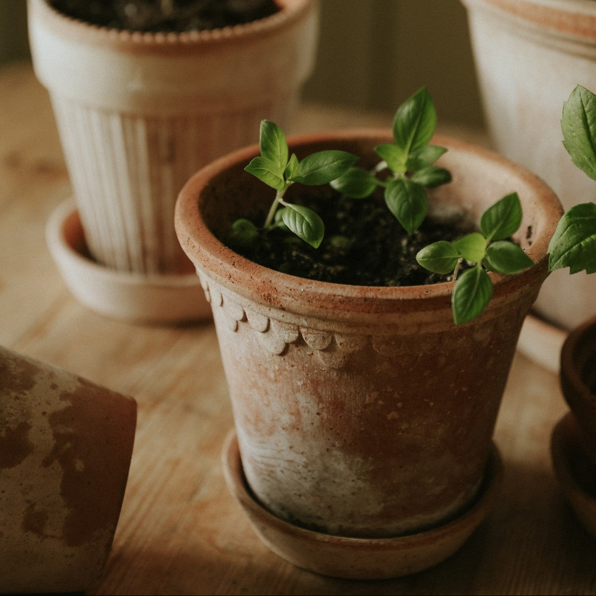 Kobenhavner Pot in Rosa Terracotta