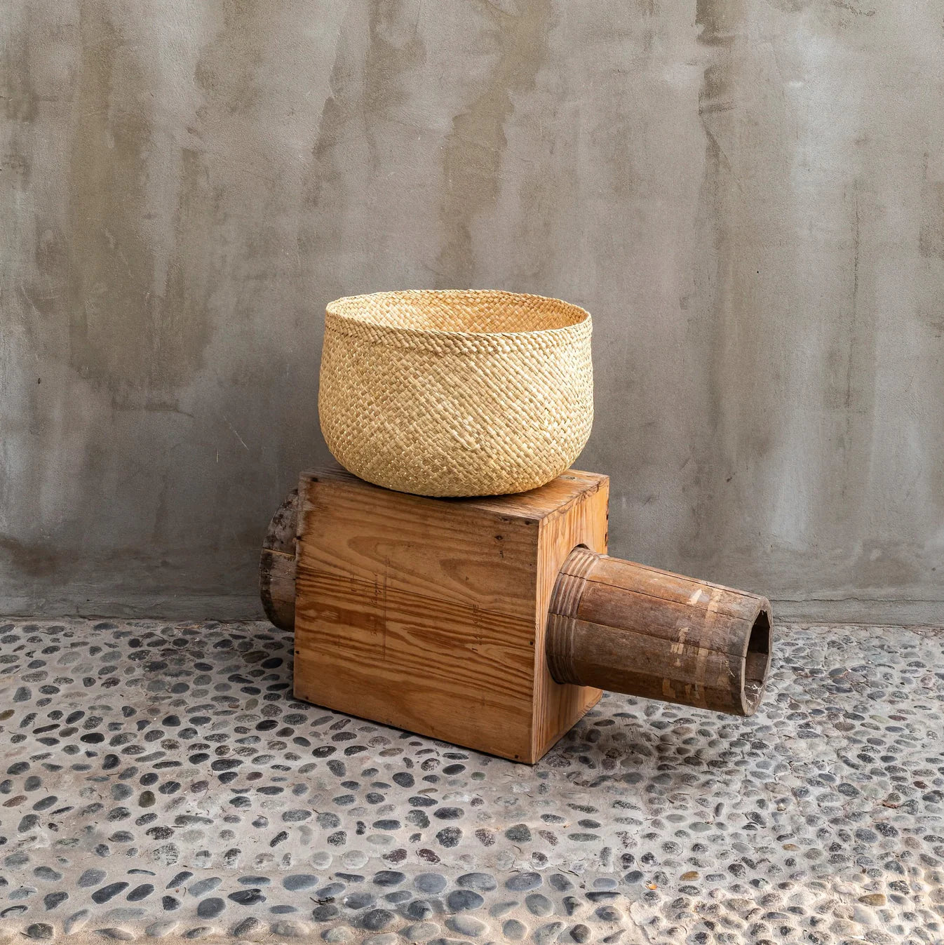 Taza Basket - Collyer's Mansion