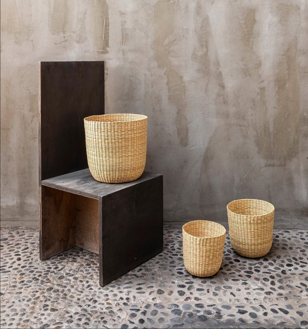 Collection Image