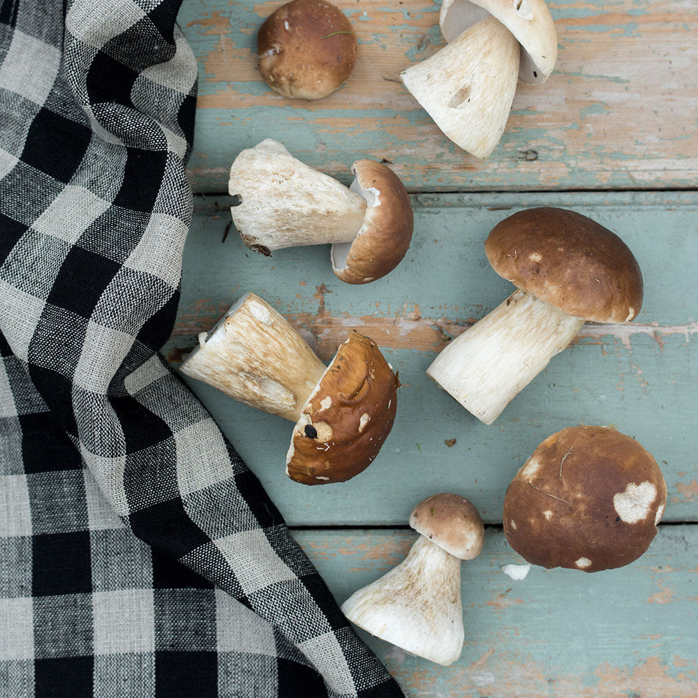 Black Natural Thick Kitchen Cloth - Collyer's Mansion