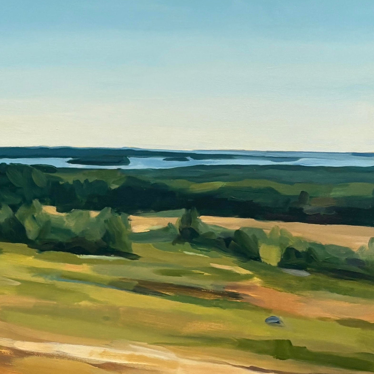 Caterpillar Hill, August by Claire Cushman