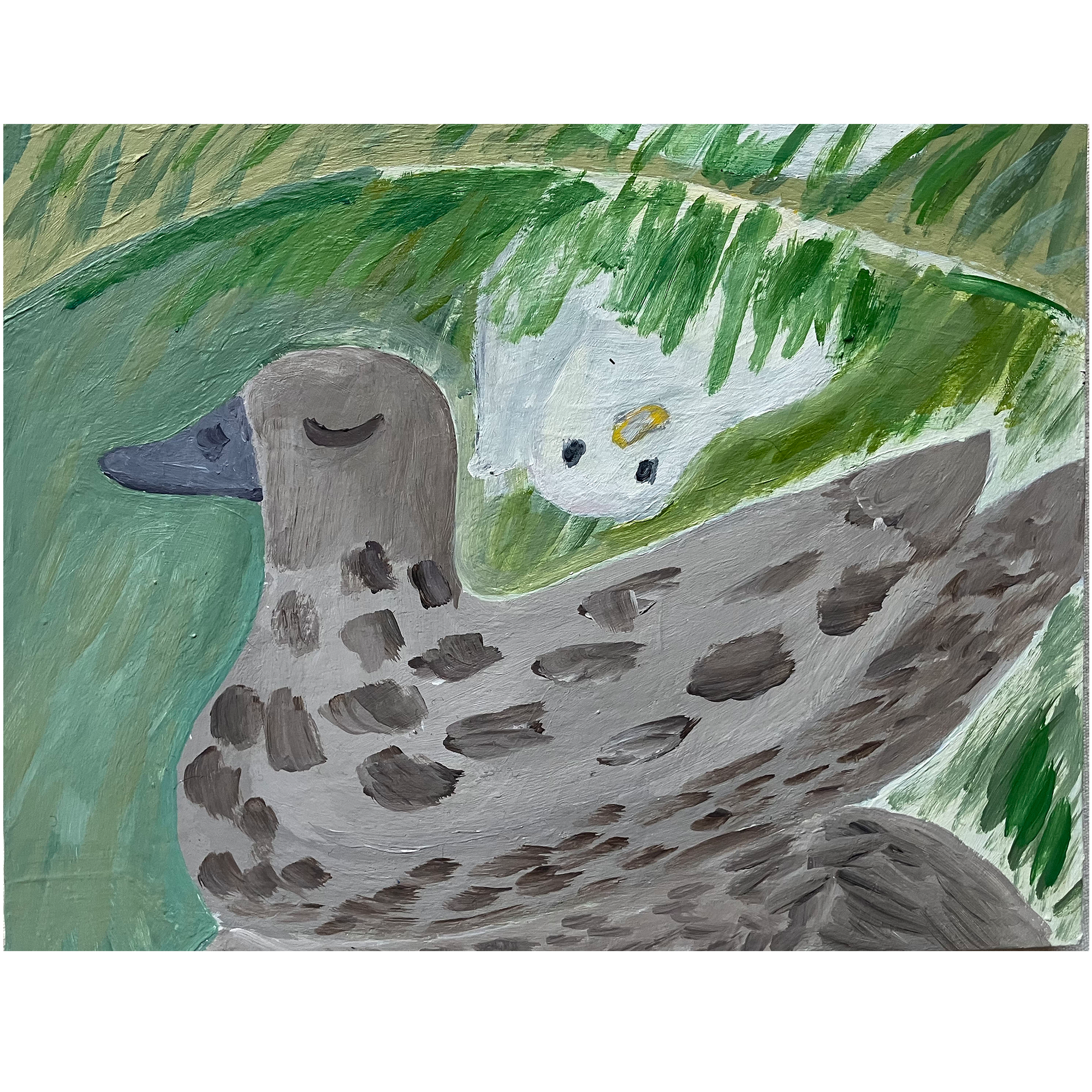 Ducks by Steph Becker