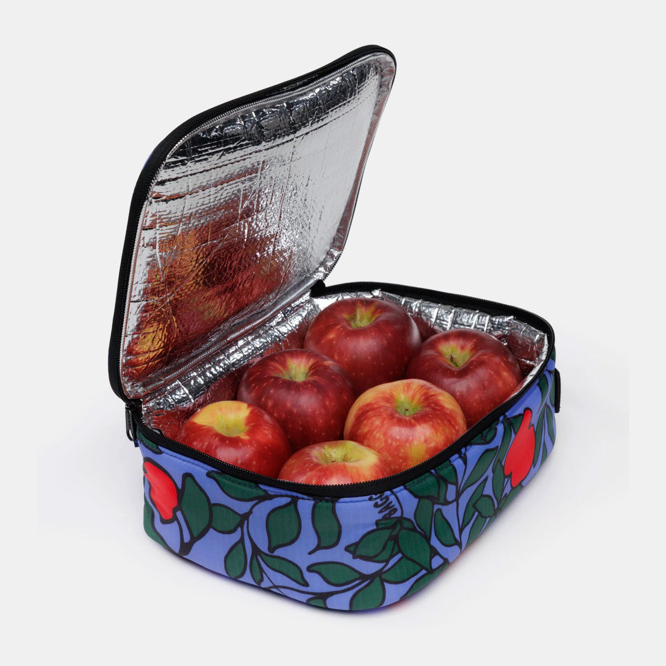Lunch Box in Apple Tree