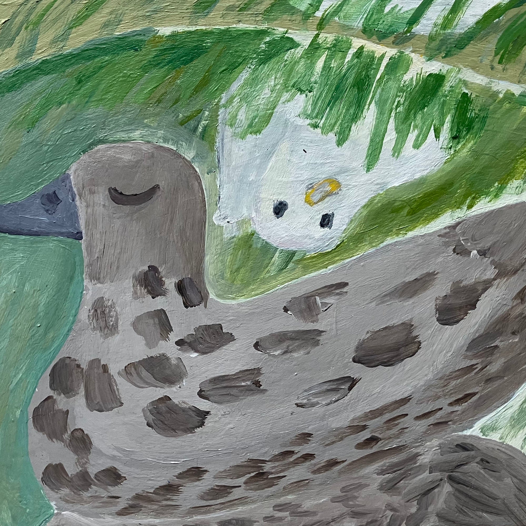 Ducks by Steph Becker