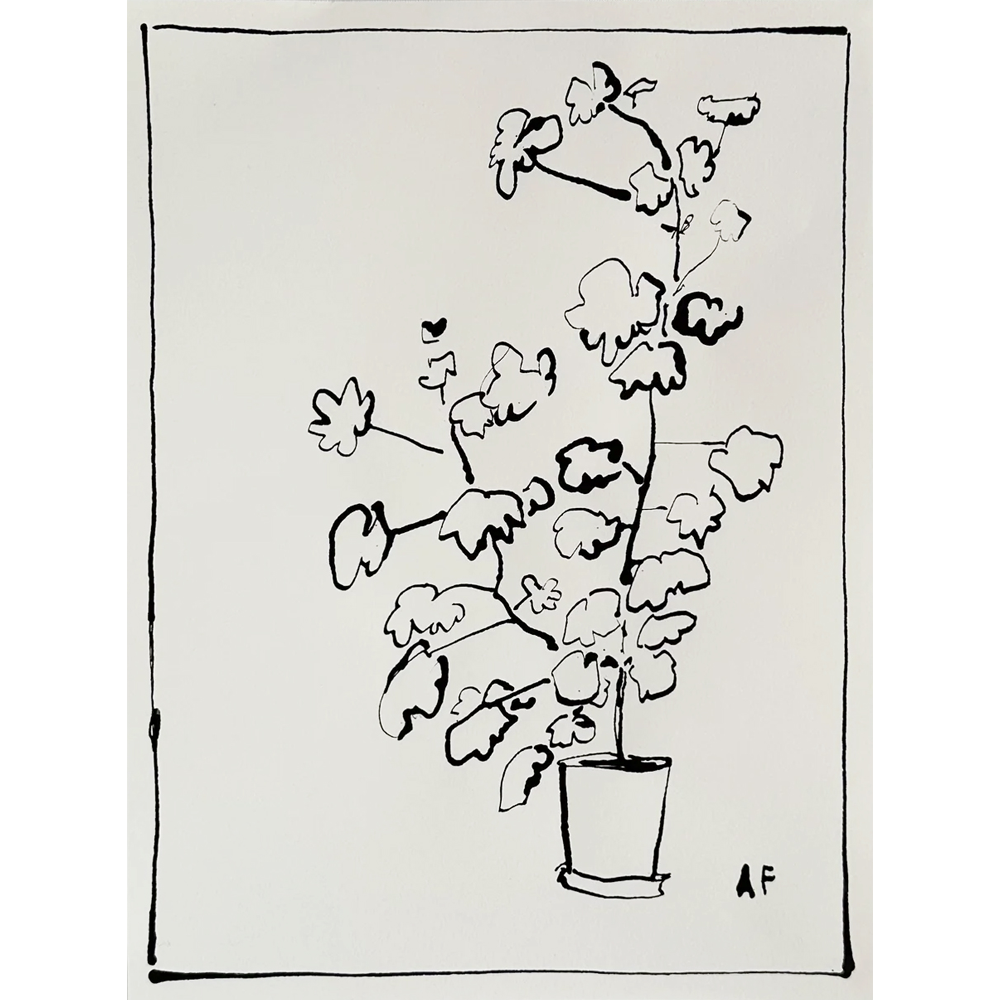 Potted Geranium i by Aislinn Forbes