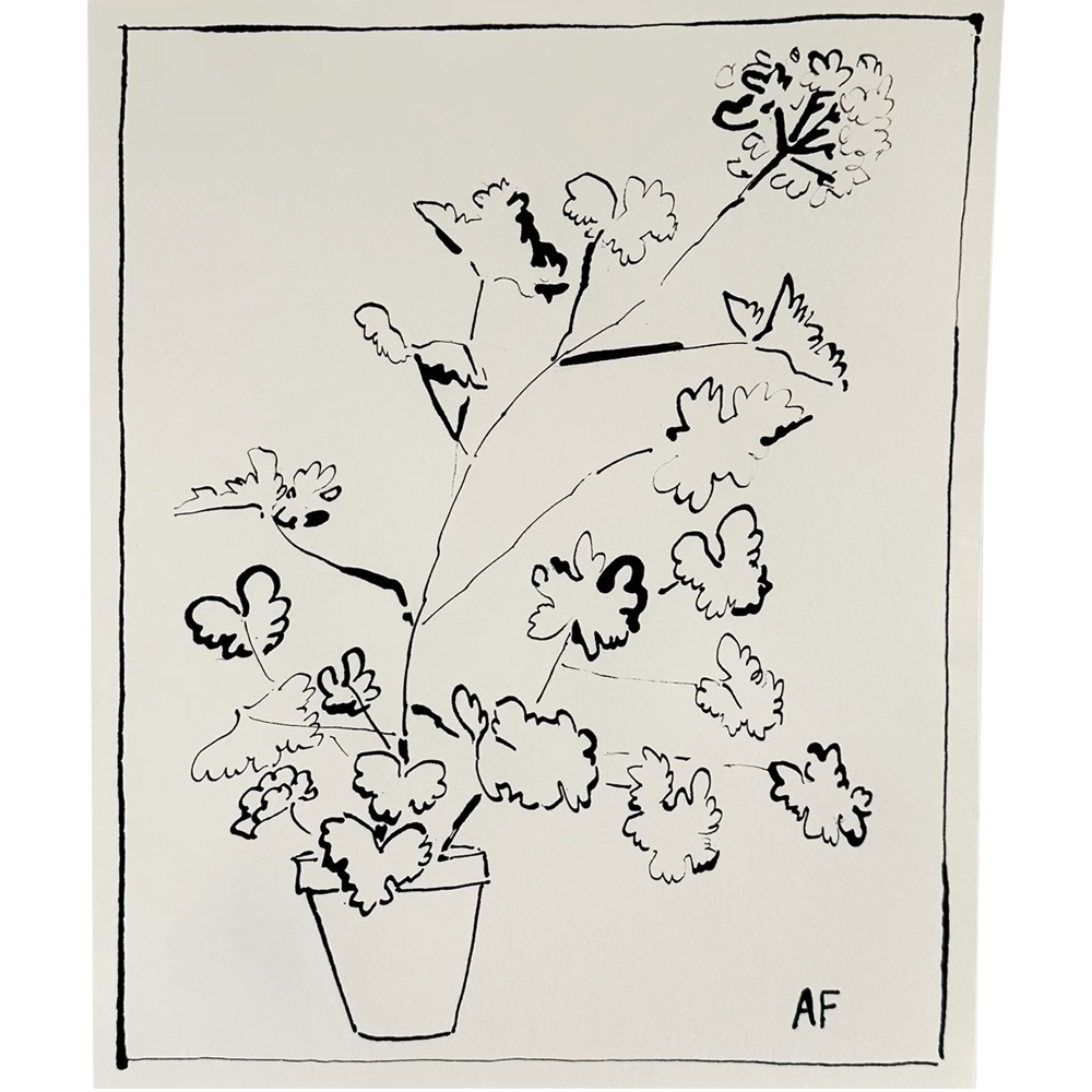 Potted Geranium iii by Aislinn Forbes
