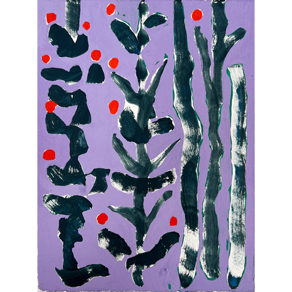 Collection Image