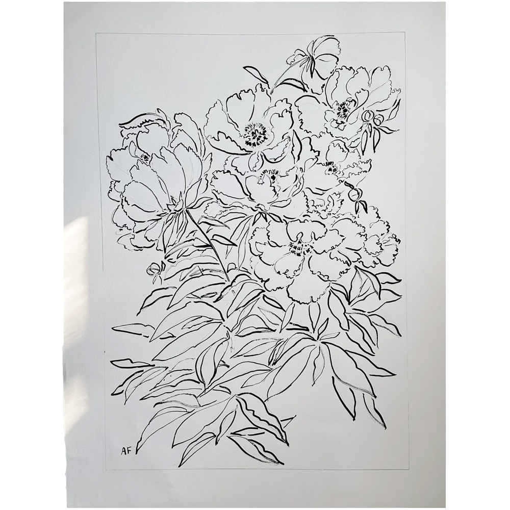 India Ink Peonies in Large by Aislinn Forbes