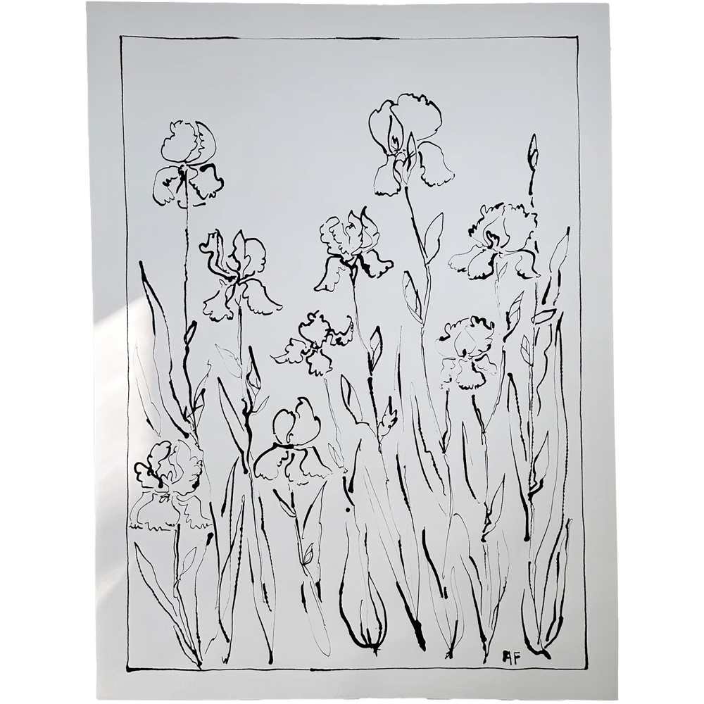 India Ink Irises by Aislinn Forbes