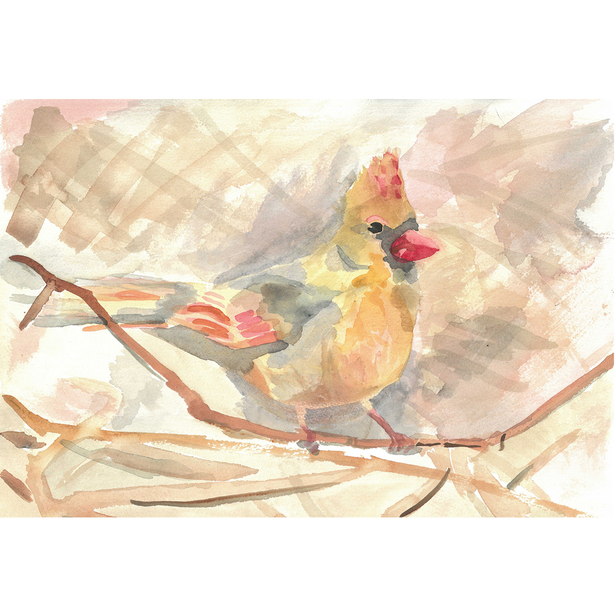 Cardinal by Andrea Dibben
