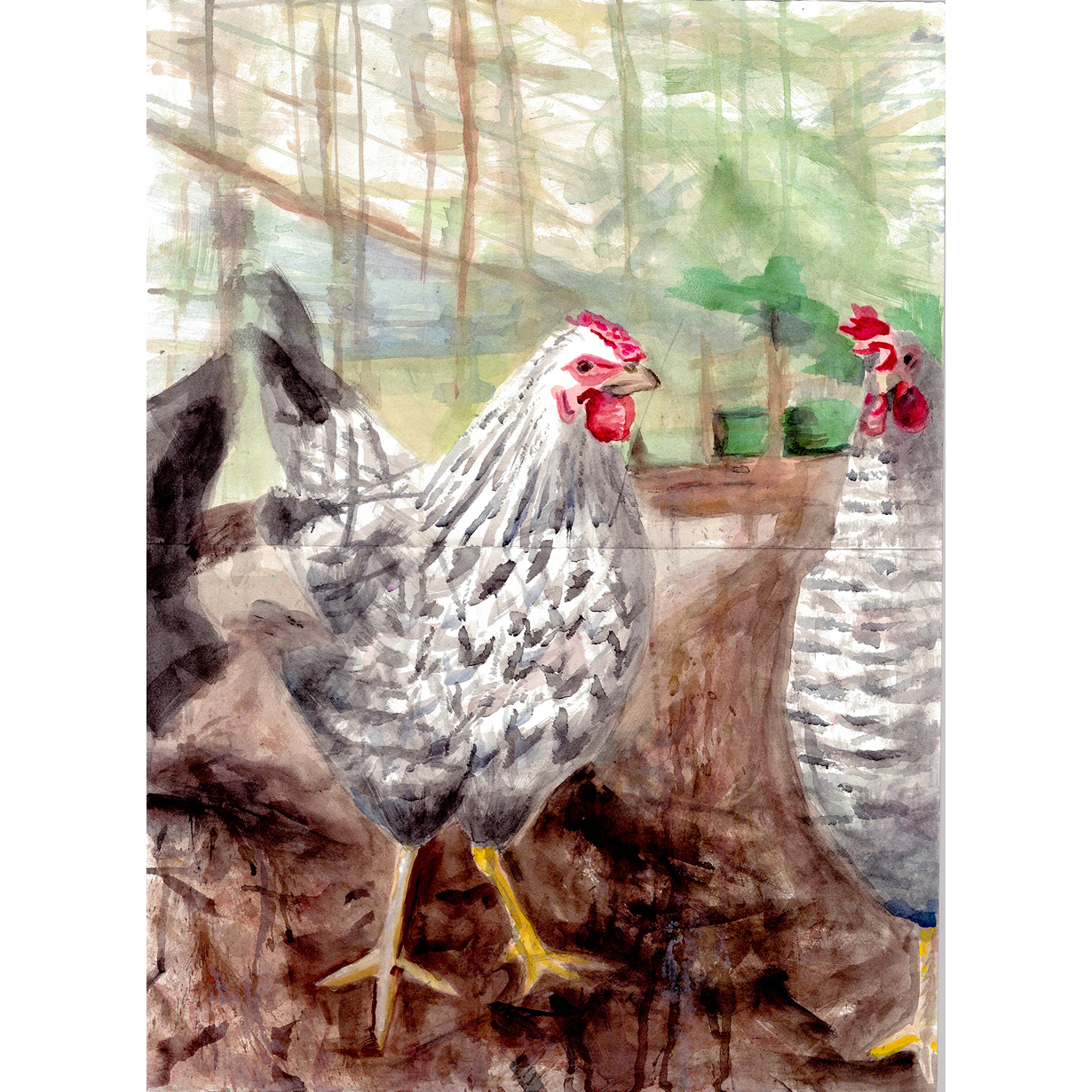 Chicken by Andrea Dibben