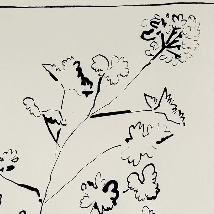 Potted Geranium iii by Aislinn Forbes